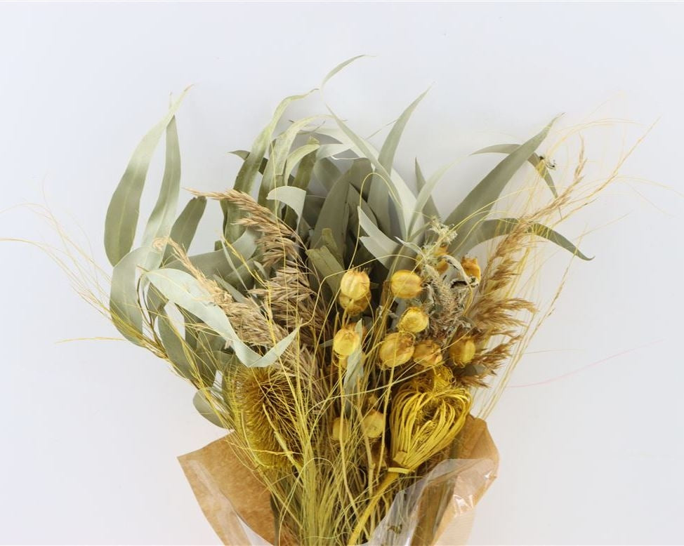 Getrockneter Bouquet Saint Marcout