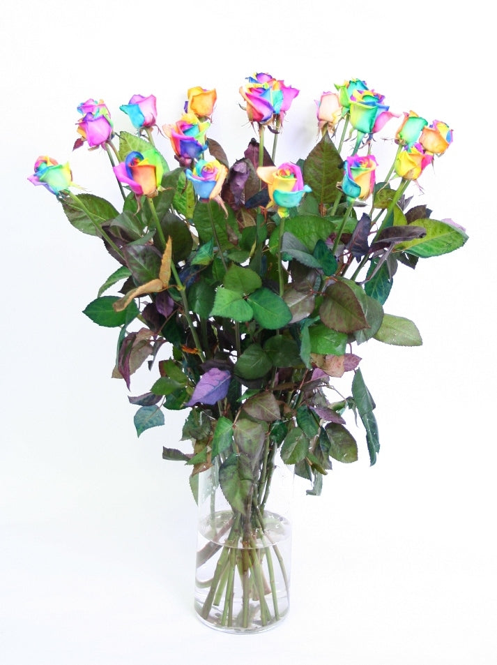Rosenstrauß von 10 langen, großen Regenbogenrosen