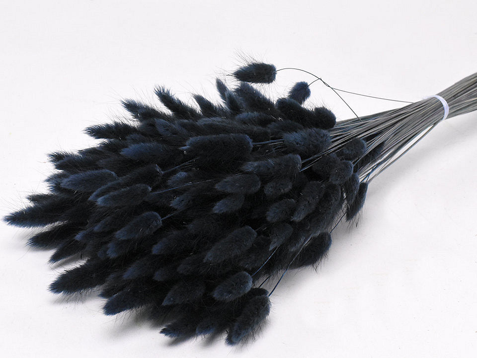 Lagurus schwarz 65 cm