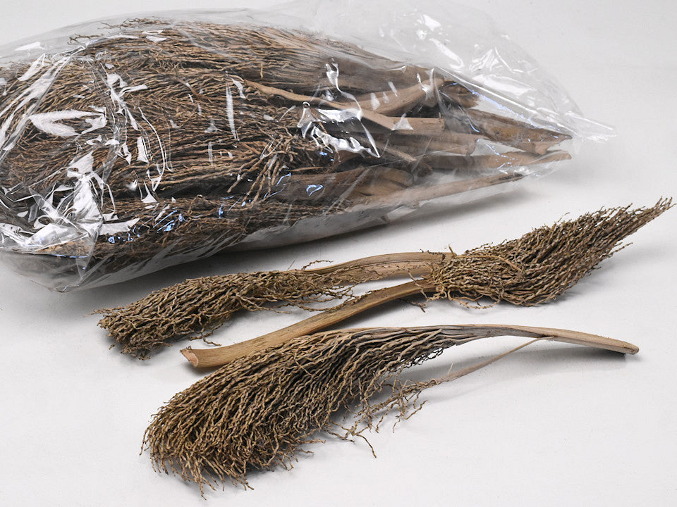 Palm Torch 30-40 cm 25-Pack