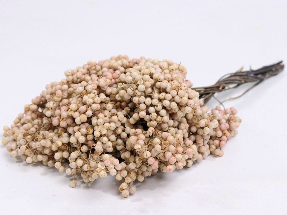 Pfefferbeeren weiß 25-35 cm