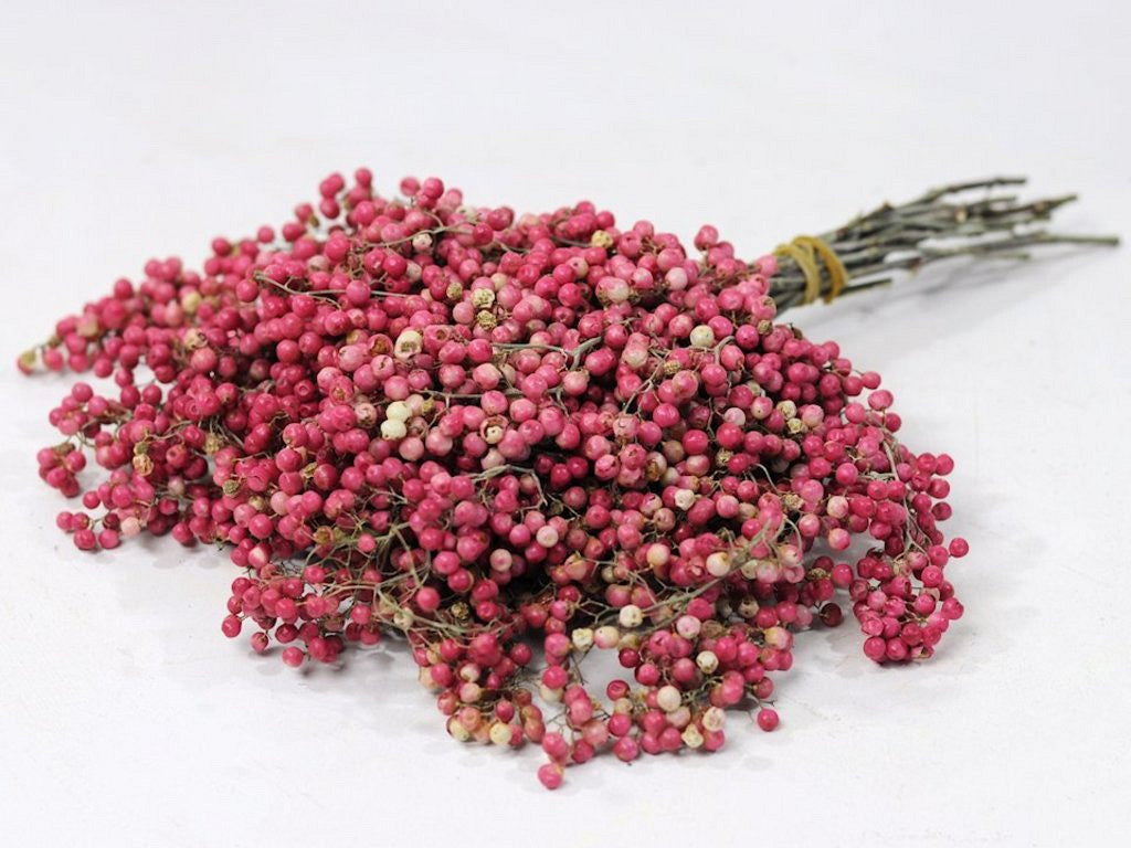 Pfefferbeeren rosa 25-35 cm