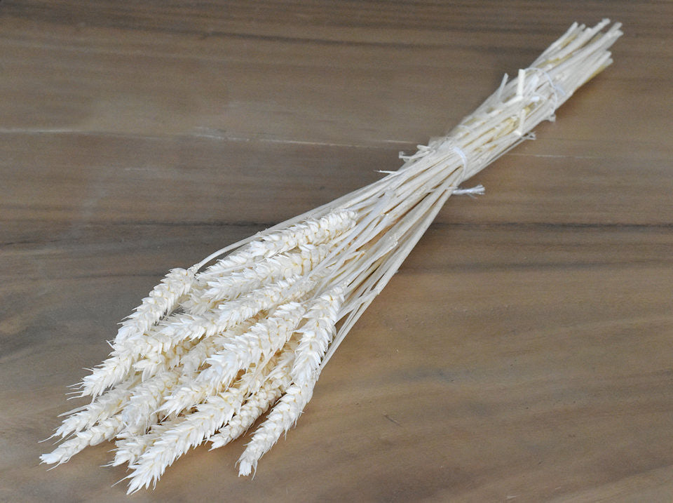 Weizen gebleicht 70 cm