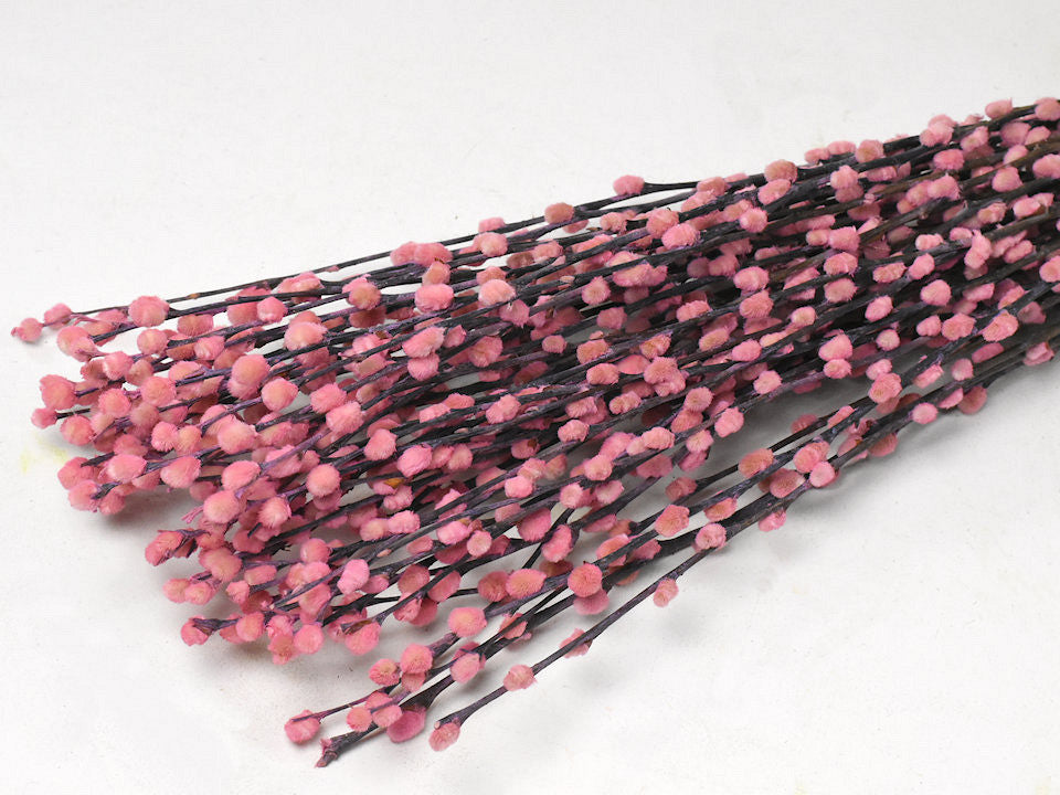 Willow Catkins 90 cm Pink 50 Anzug