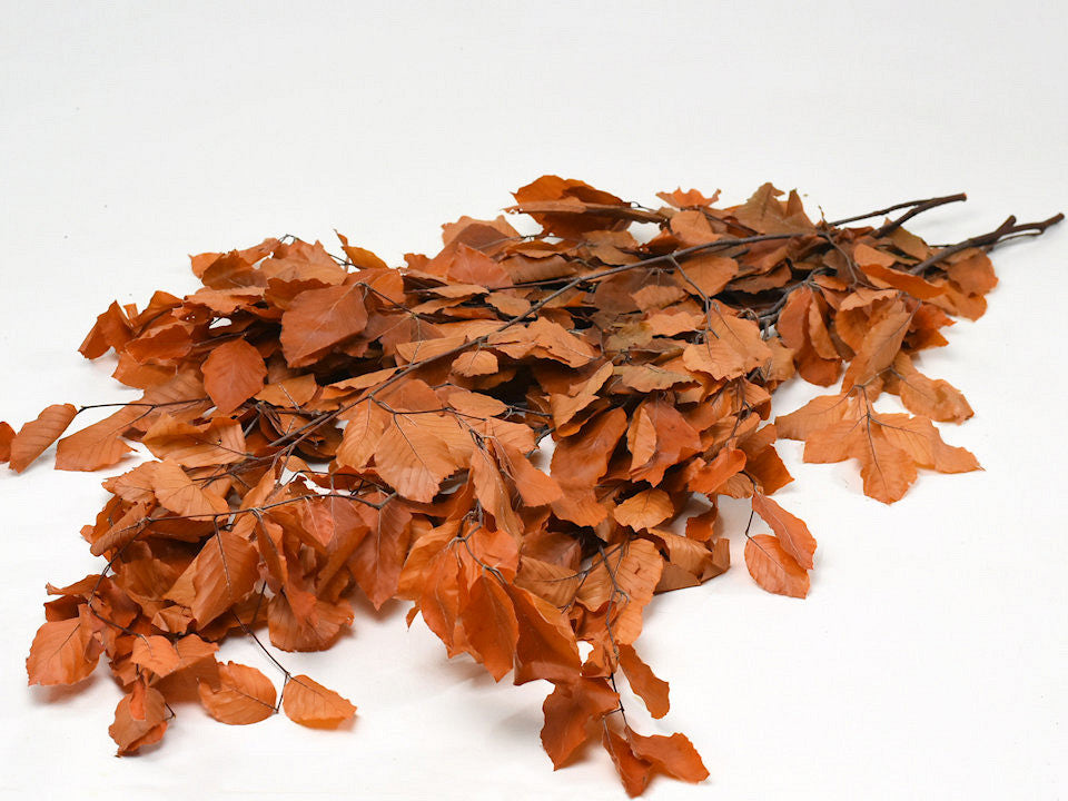 Buchenblatt Orange 80 cm