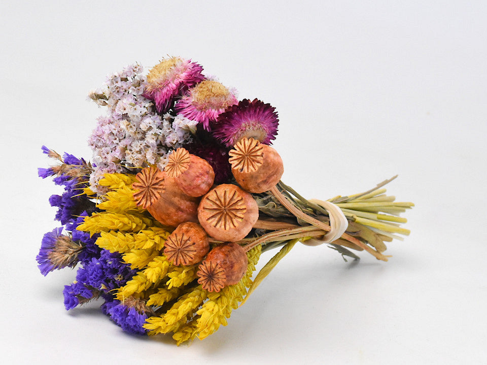 Trockene Blumen Bouquet Bunt 25 cm