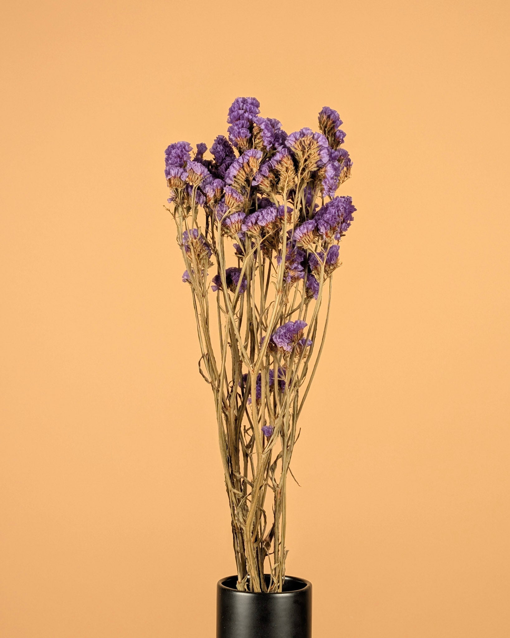 Getrocknete Statice Sinuata Donker Violet