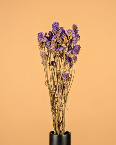 Getrocknete Statice Sinuata Donker Violet
