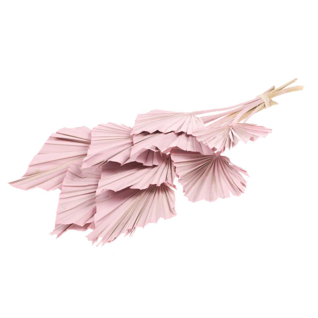 Palm Spear Pink