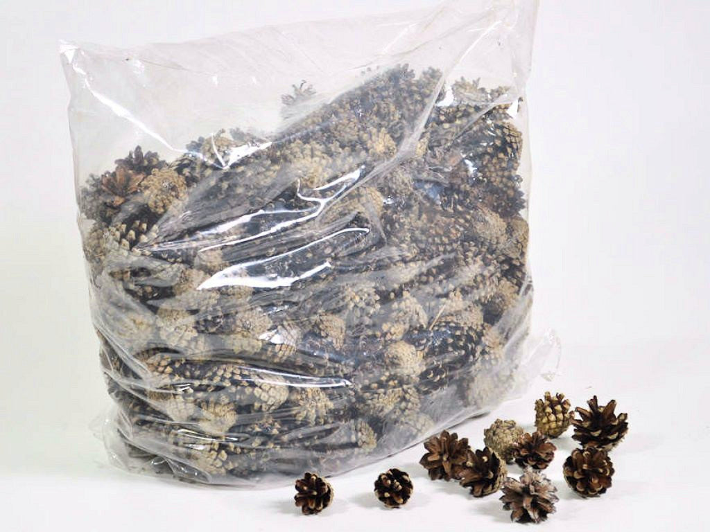 Kiefernkegel Sylvestris 5 kg