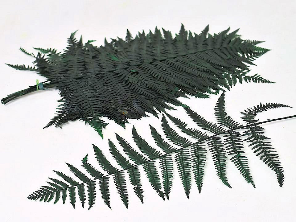 Segeln 40 cm grün 20pcs