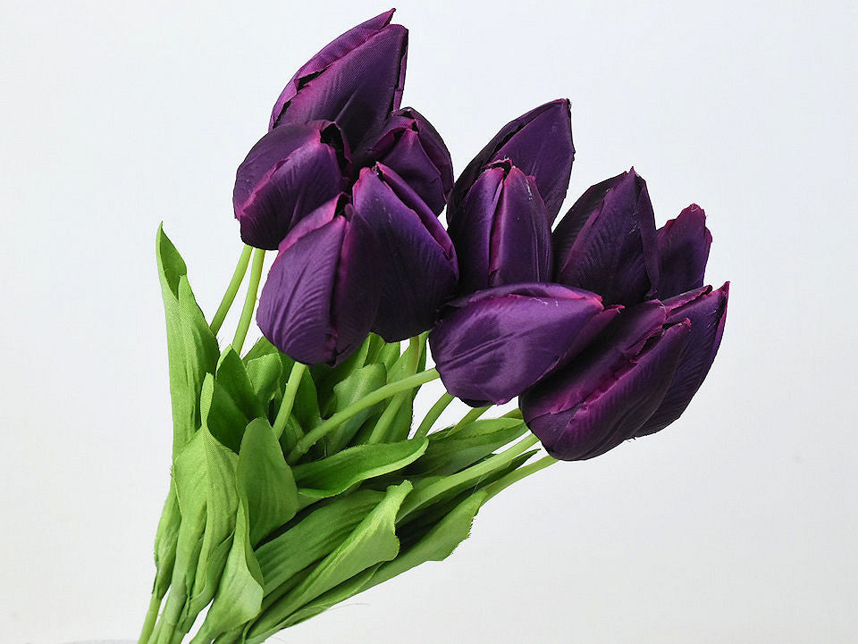Tulp lila 50 cm