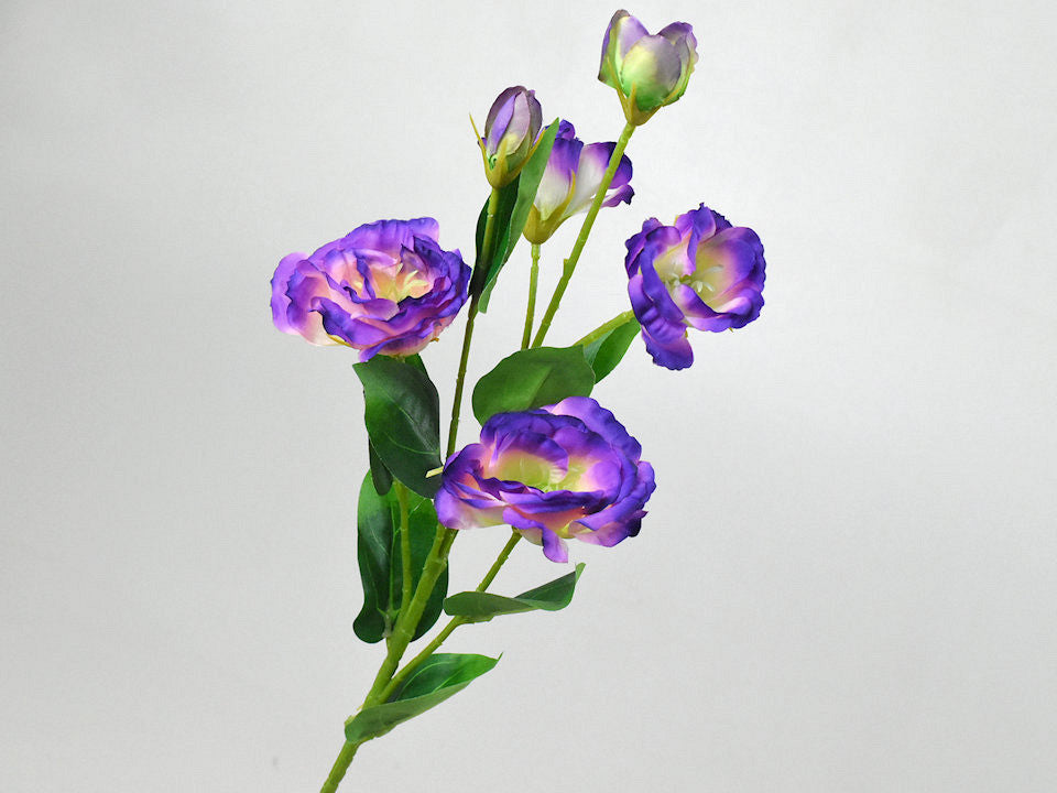 Art Lianthus lila 78 cm