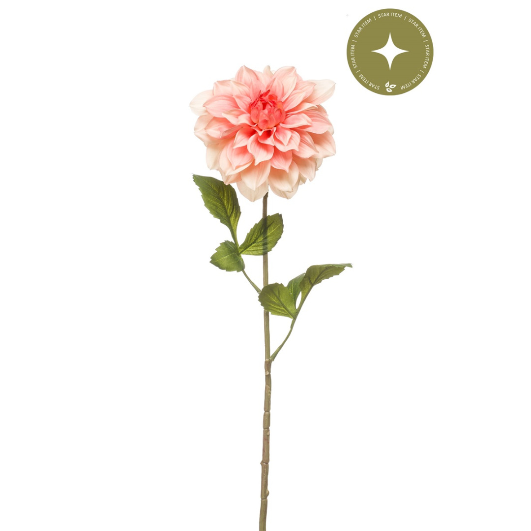 Zijde Dahlia – Peach (72 cm)