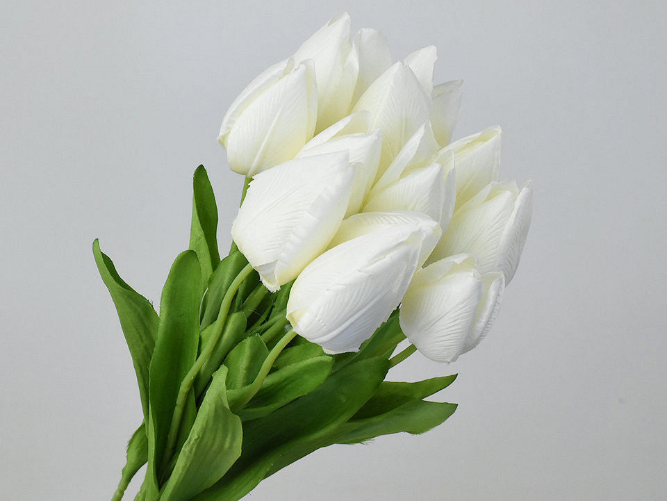 Tulp Creme 50 cm