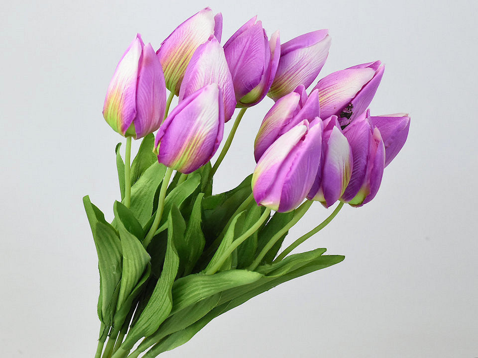 Tulip Lila 50 cm