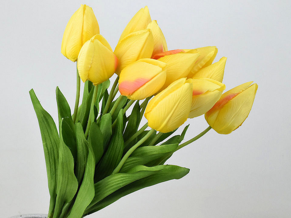 Tulpe gelb 50 cm