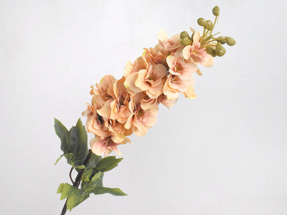 Art Delphinium Pfirsich 86 cm