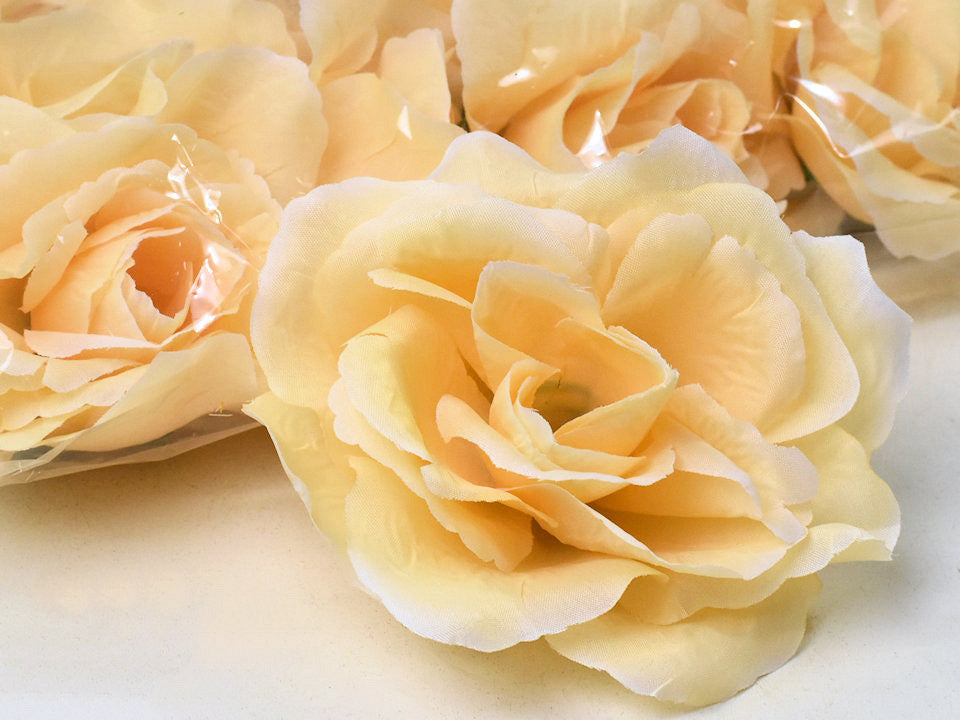 Rose weiche gelbe D10cm