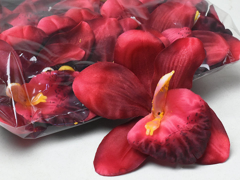 Orchidee dunkelrot D13CM