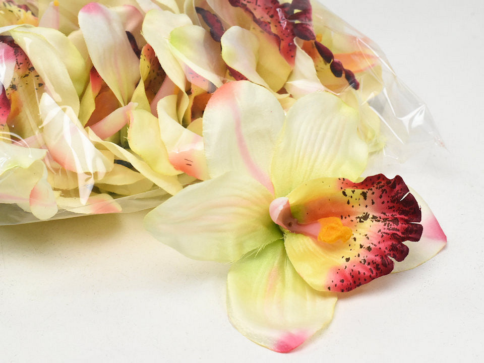 Orchidee gelb/creme d13cm