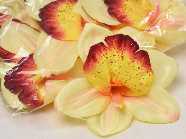Orchidee gelb D14cm