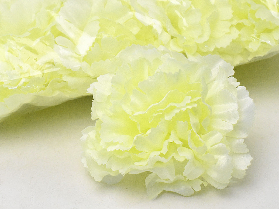 Karnation Yellow/Creme D9CM