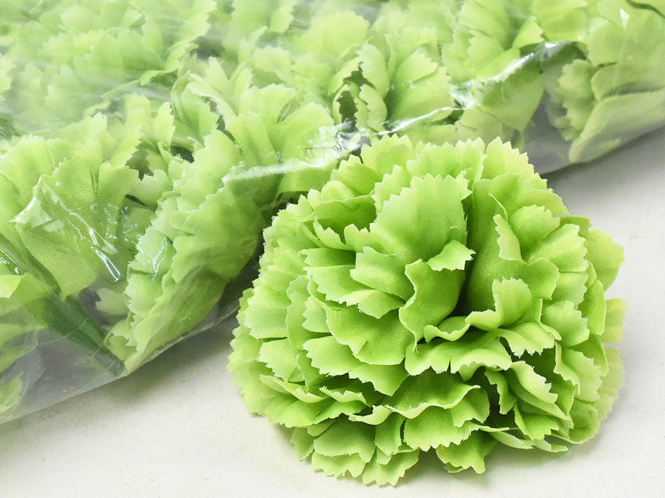 Karnation Green D9CM