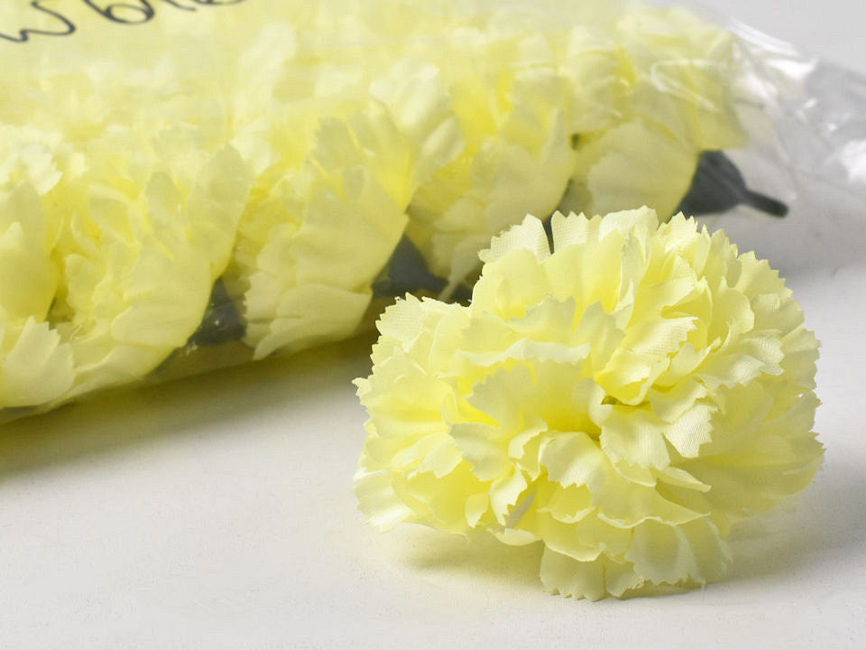 Karnation Yellow D9CM