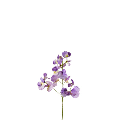 Zijde lathyrus paars
