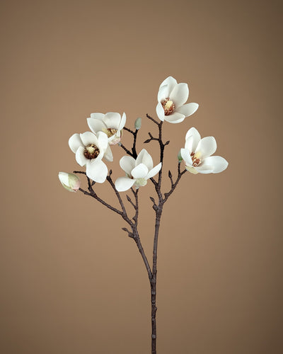 Zijde Magnolia Mini Tak – Crème (65 cm)