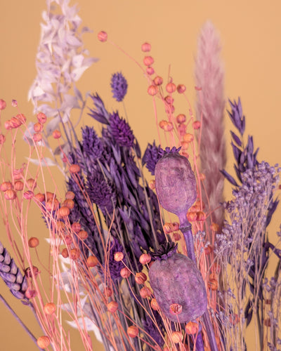 Trocknen von Bouquet Purpur