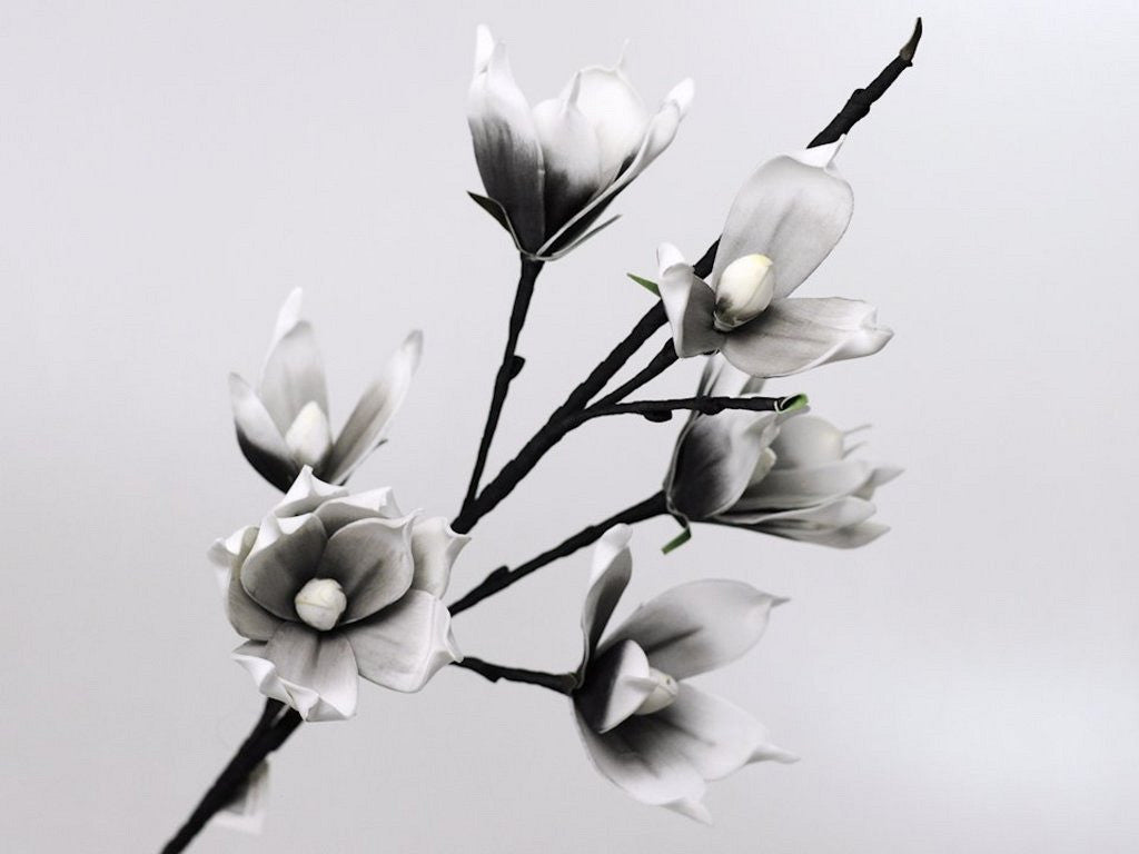 Schaummagnolien weiß/Anthrazit, d 18 cm