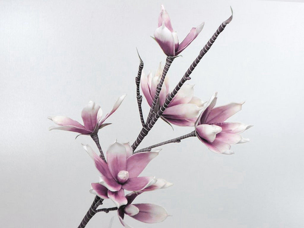 Foam Magnolia White/Lila, d 18 cm