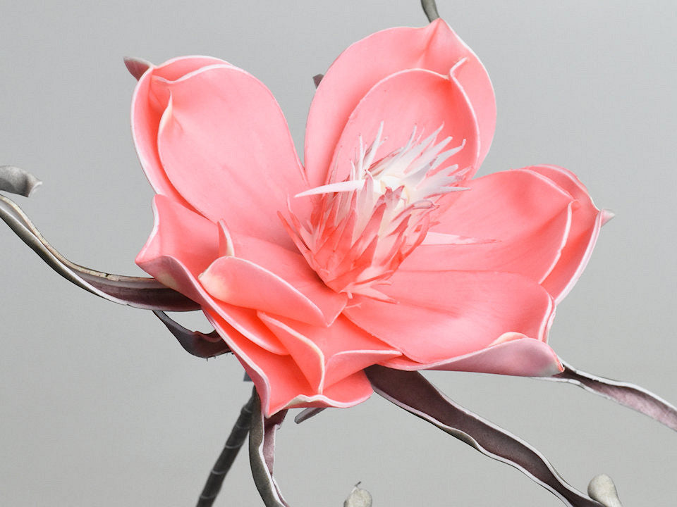 Schaumblume Pink, D 20 cm