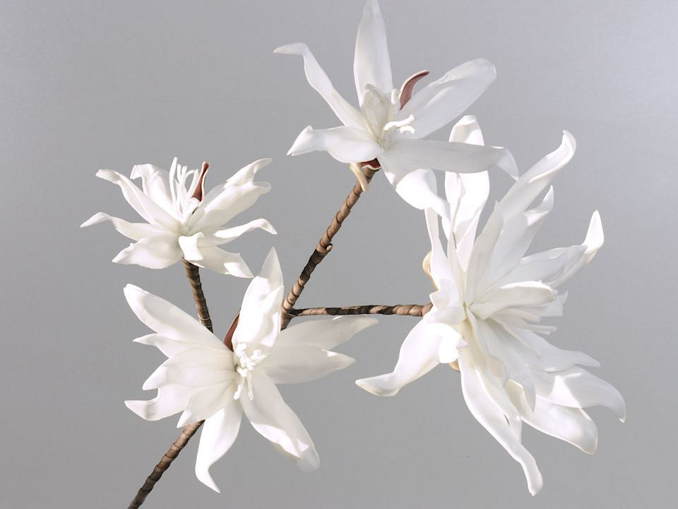 Schaumblüte Zweig Weiß 85 cm
