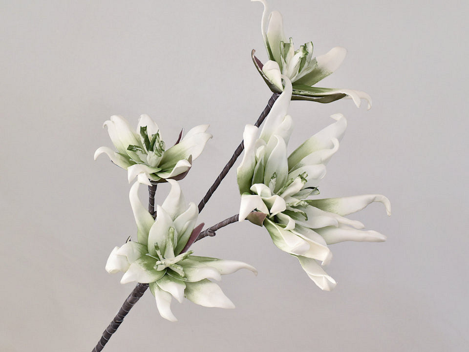 Schaumblüte Zweig Weiß/Grün 85 cm