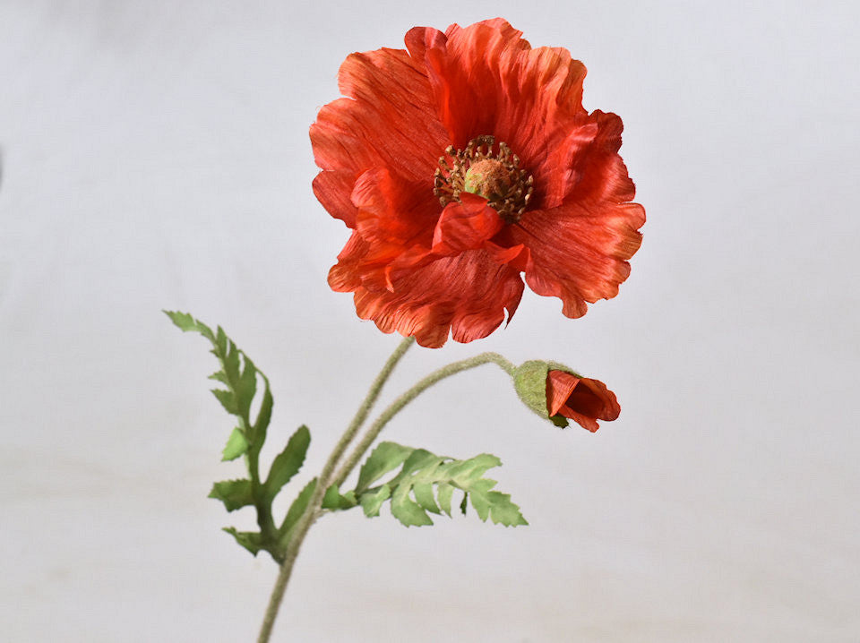 Poppy Red 65 cm