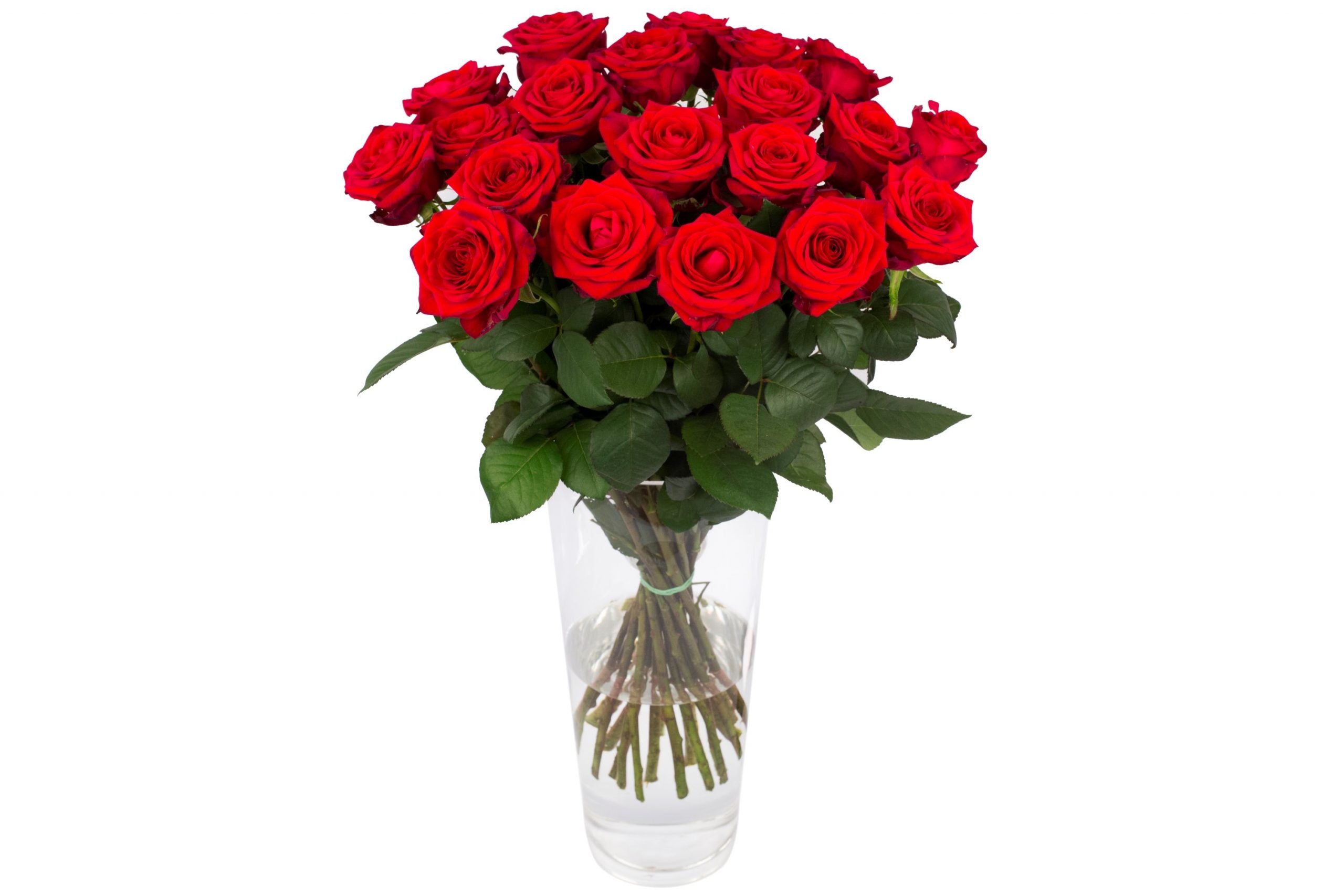 Bouquet von 20 roten Naomi Rozen