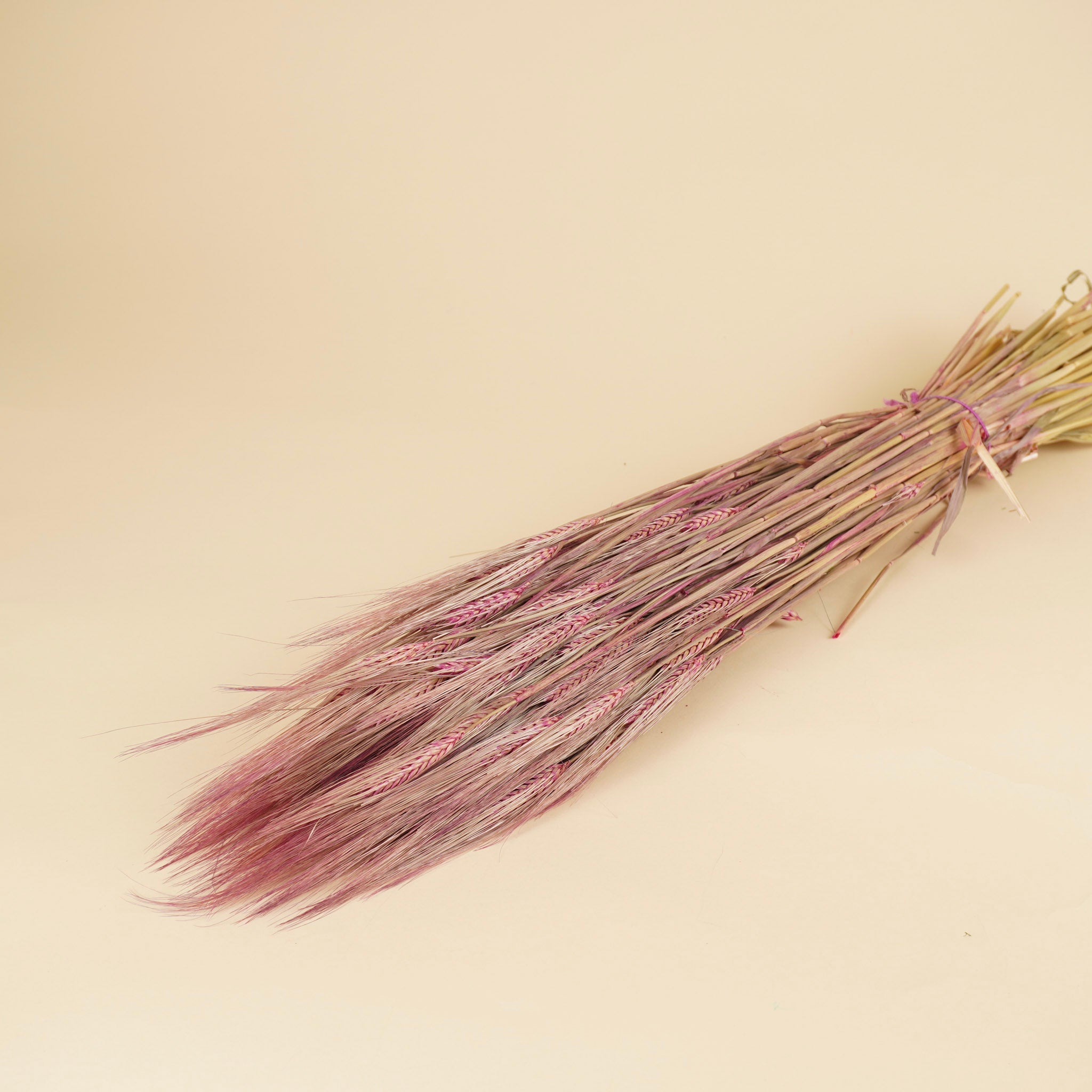 Gerste Pink 70 cm