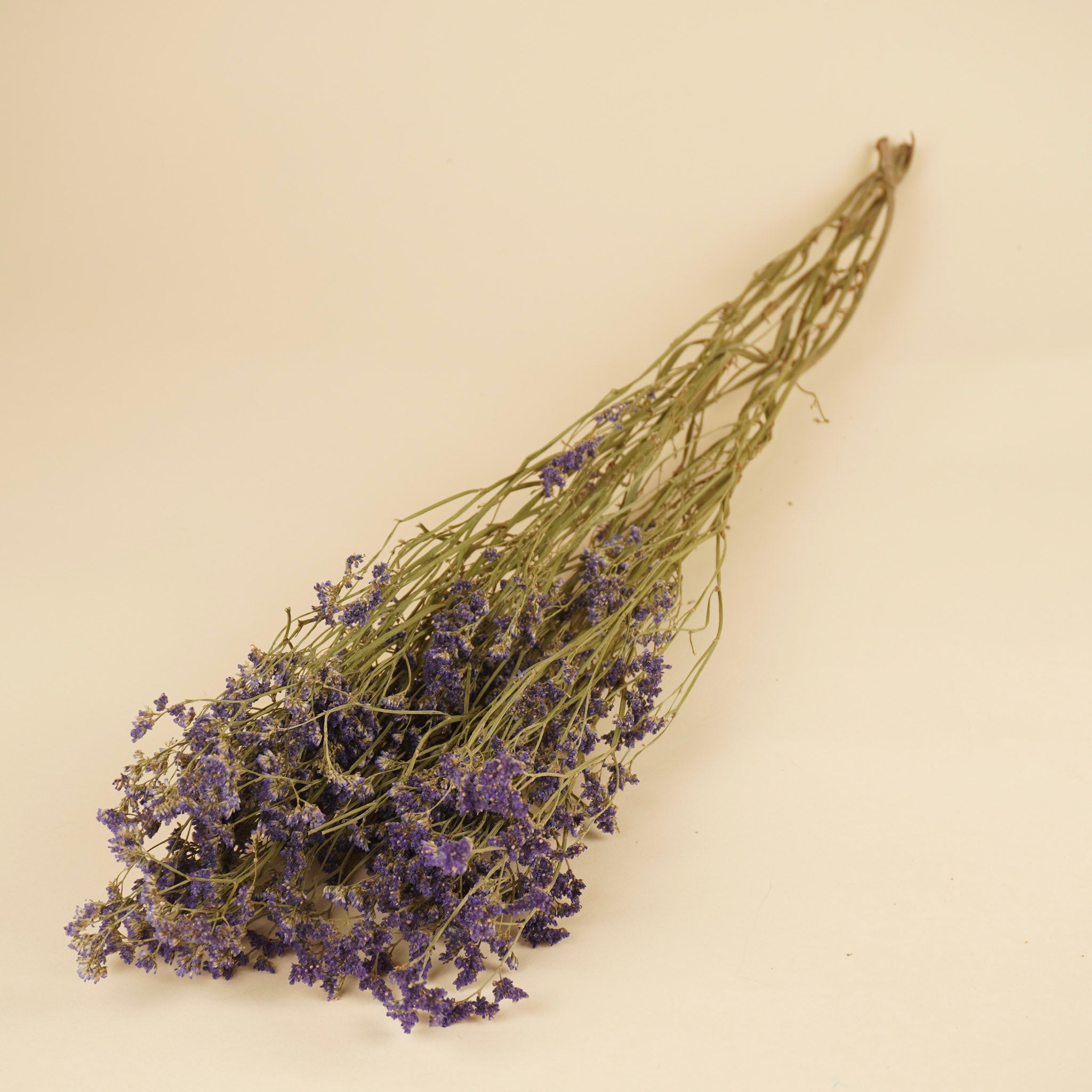 Getrocknetes Limonium Diamant sinensis lila
