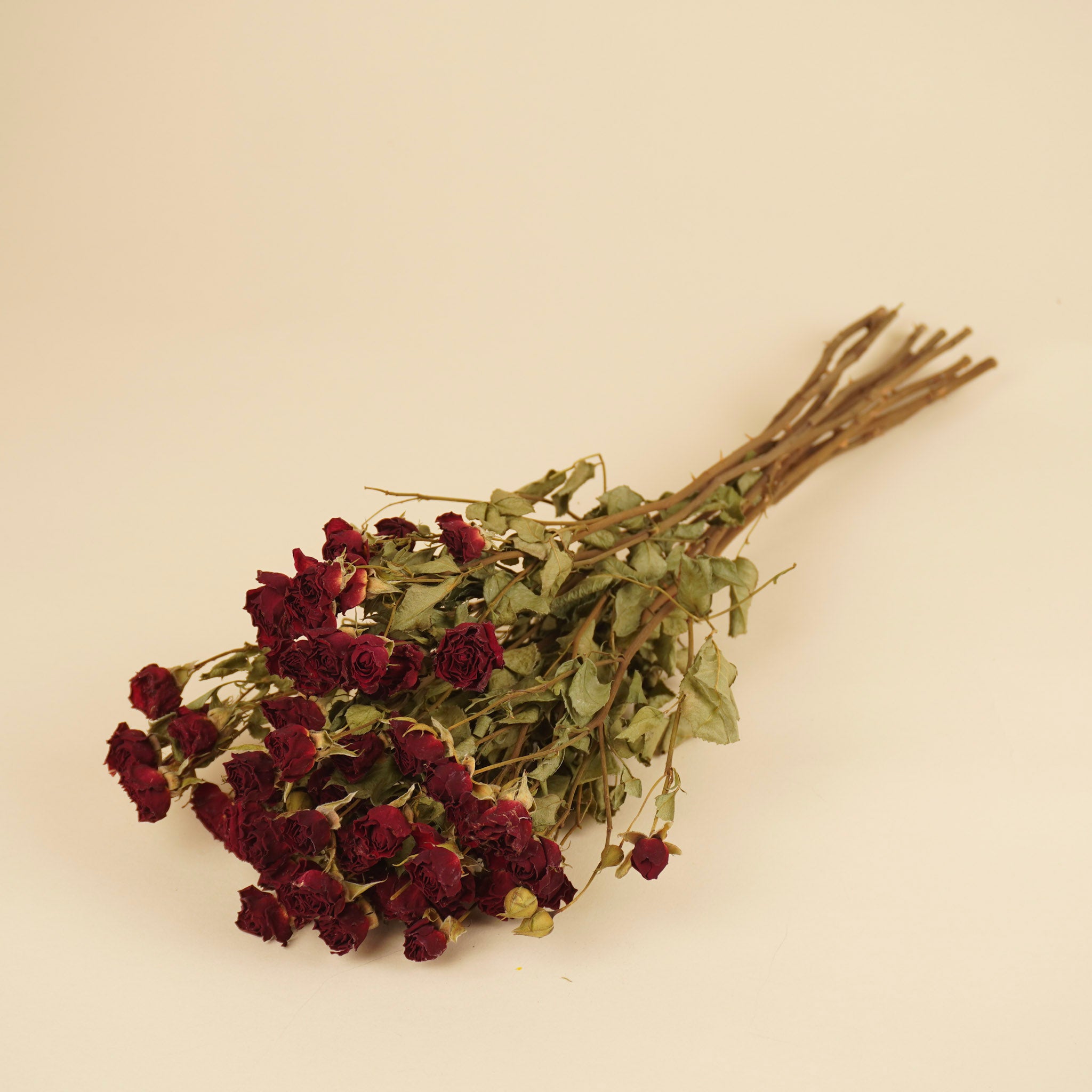 Getrocknete dunkelrote Rosen