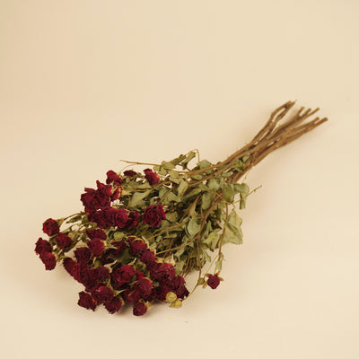 Getrocknete dunkelrote Rosen