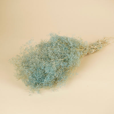 Mini Gypsophila Blue erhalten (Gypsum)