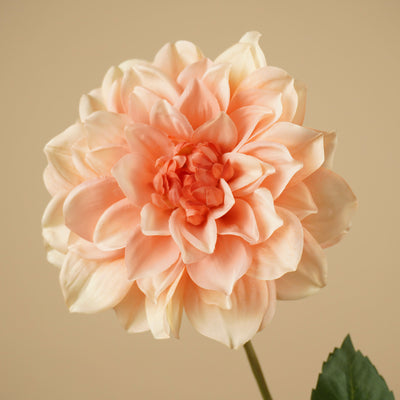 Zijde Dahlia – Peach (72 cm)