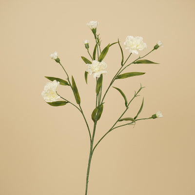Zijde Dianthus – Crème (70 cm)