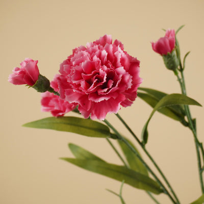 Zijde Dianthus – Roze (70 cm)
