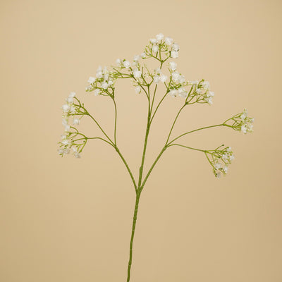 Zijde Gypsophila – Wit (68 cm)