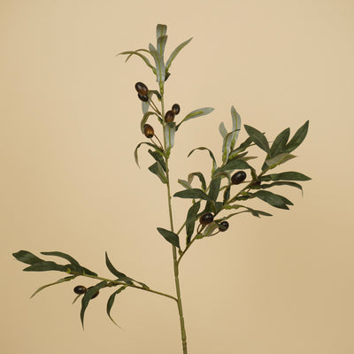 Zijde Olijftak – Groen (75 cm)