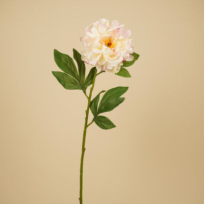 Zijde Pioenroos – Roze (75 cm)